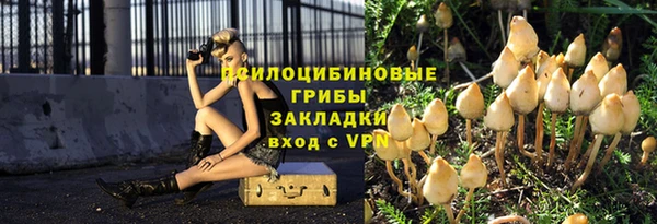 не бодяженный Аркадак