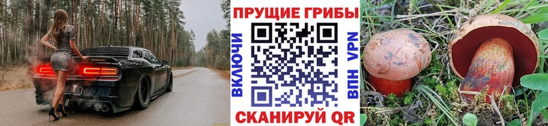 Галлюциногенные грибы Psilocybe  hydra вход  даркнет формула  хочу наркоту  Поронайск 